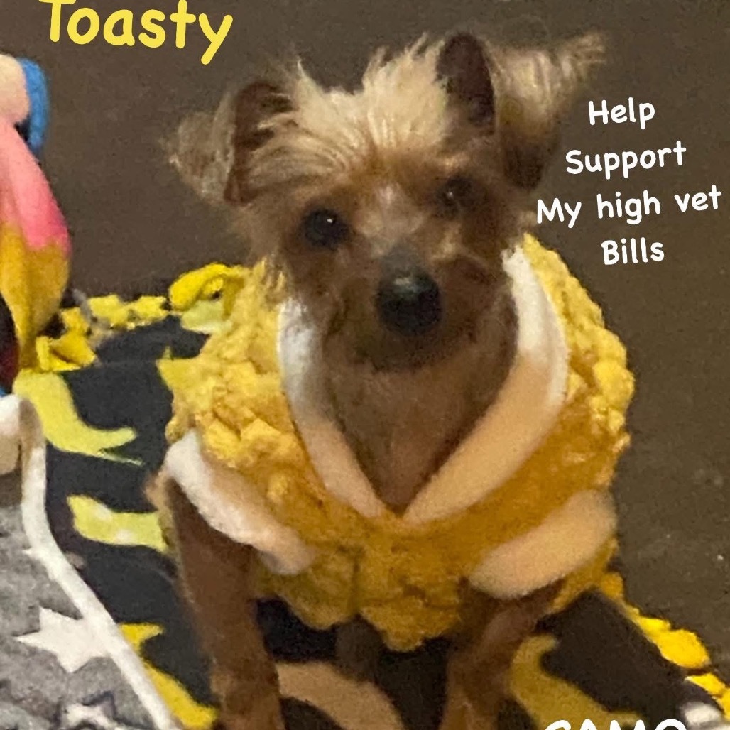 Toasty (Dallas)