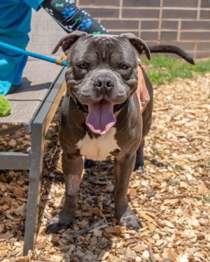 Keelan is a live and let live kind of boy Hes chill and independent minded more of a calm cool