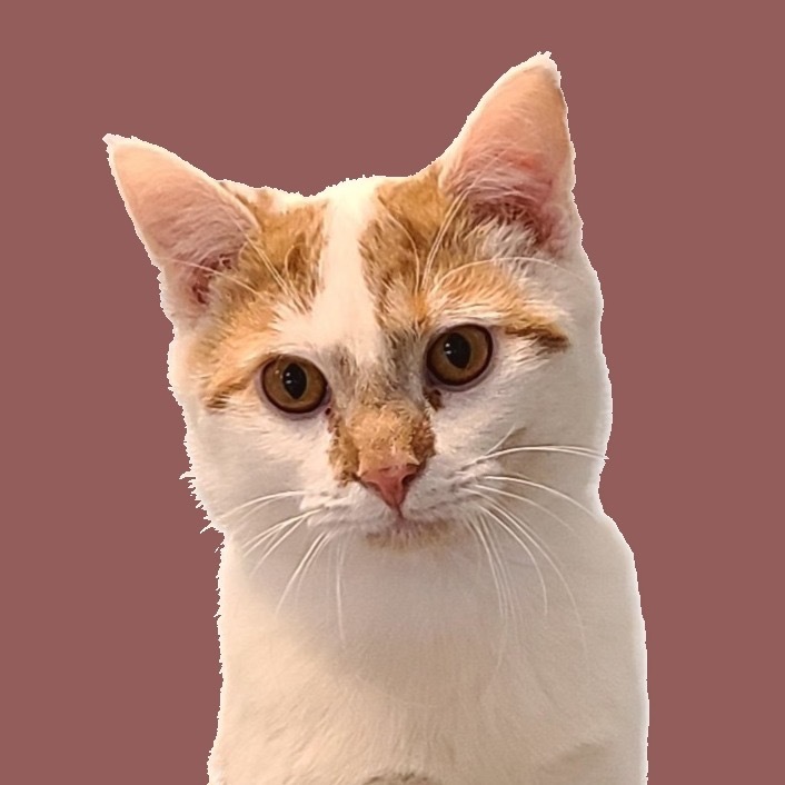 T Berkeley (bonded with B Berkeley)