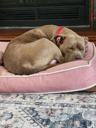 Winnie