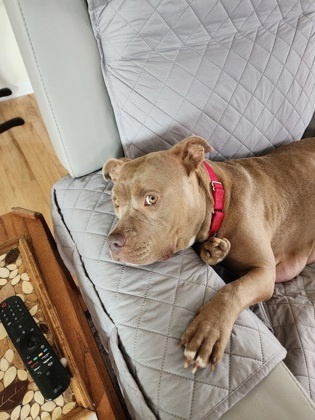 Winnie