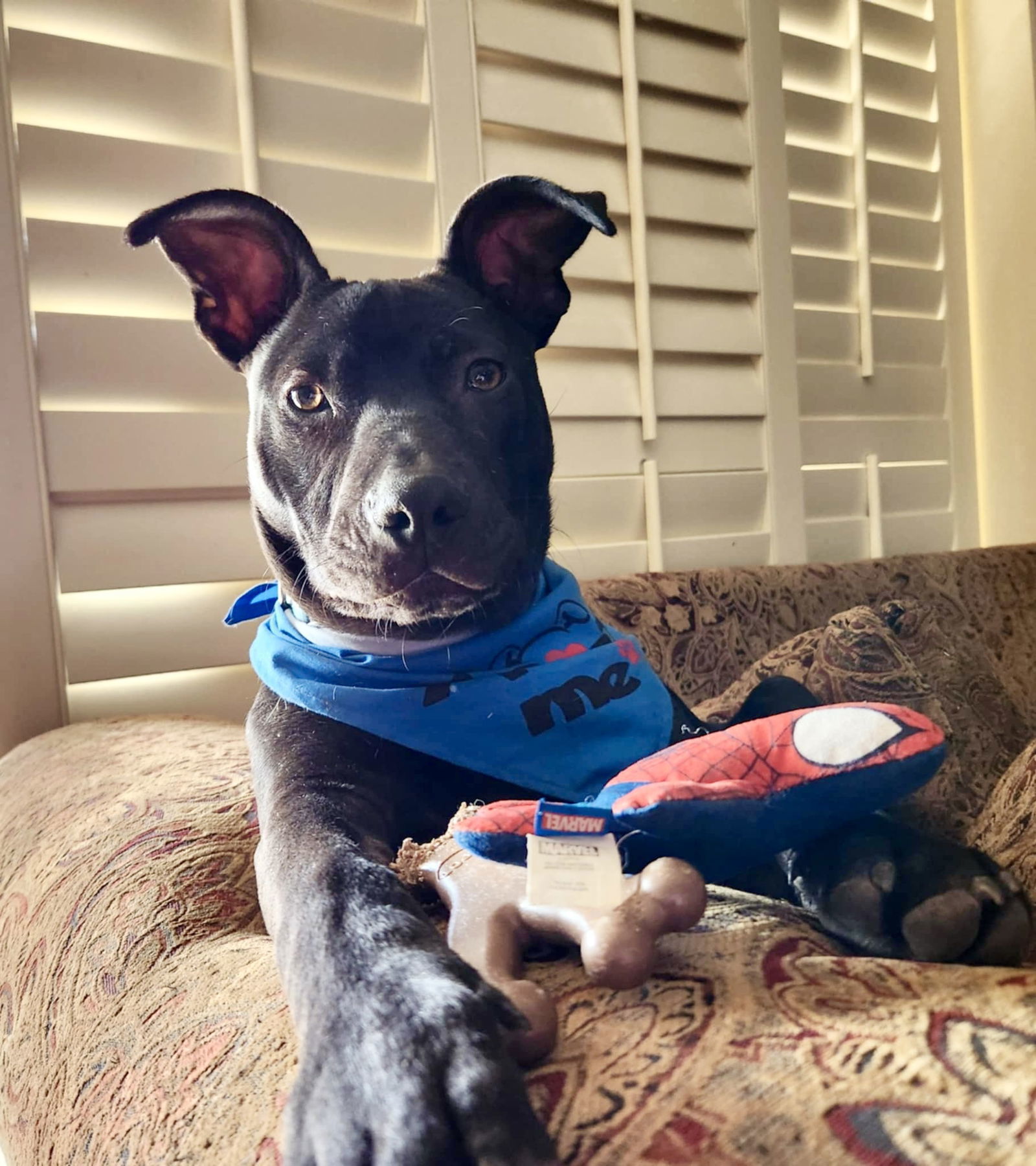 ROSCO