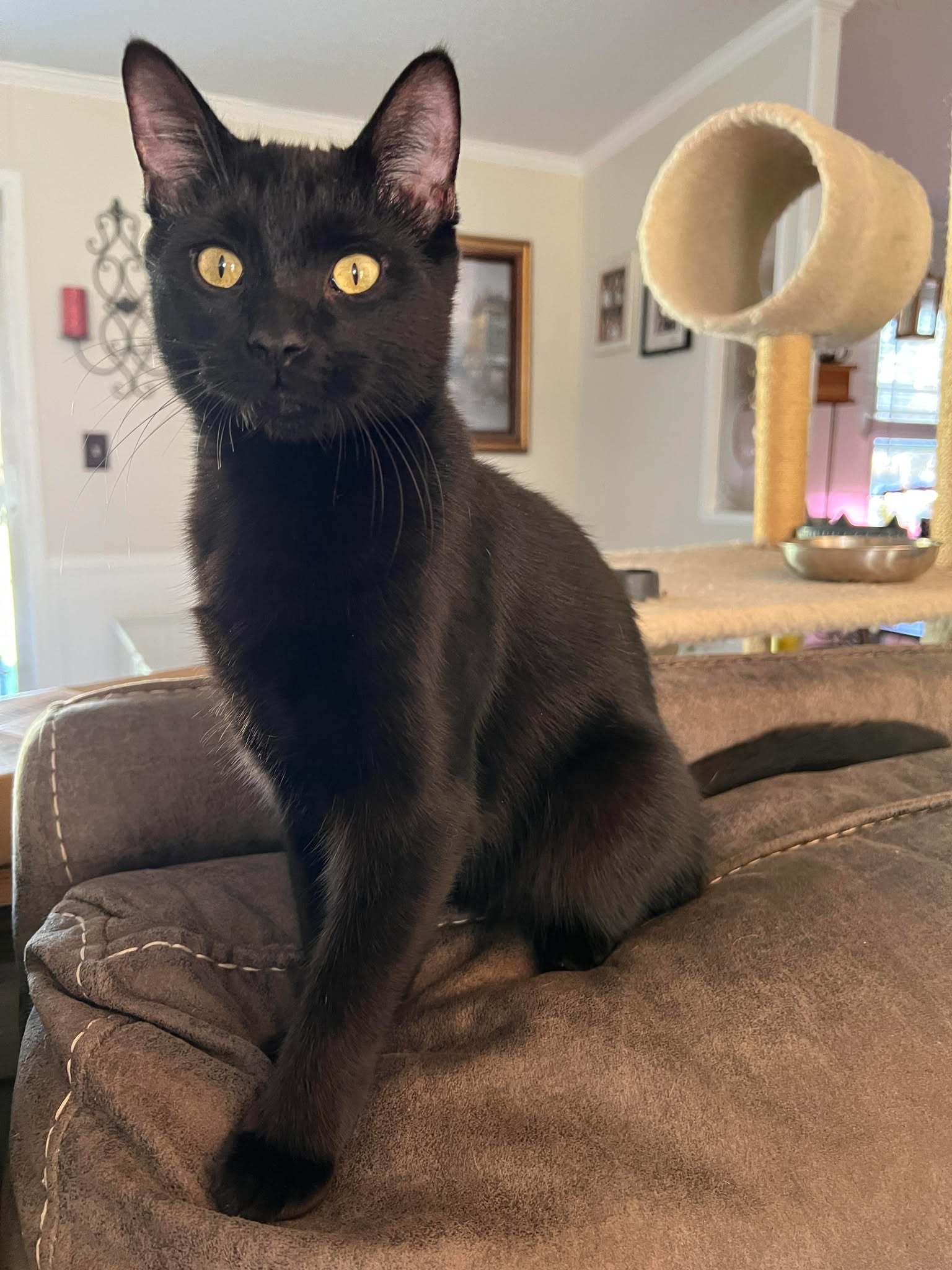 Roscoe