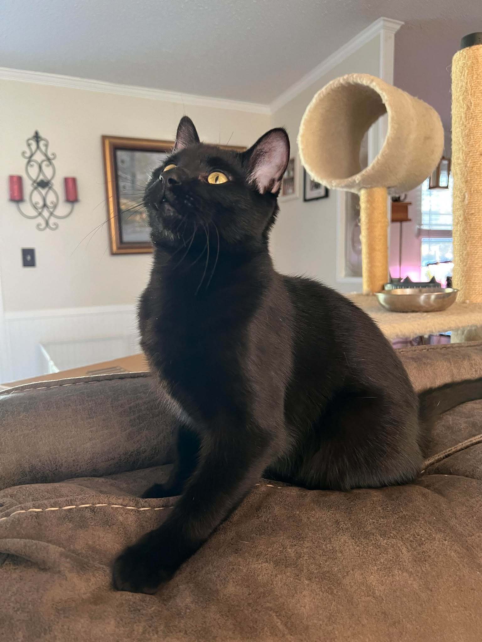 Roscoe