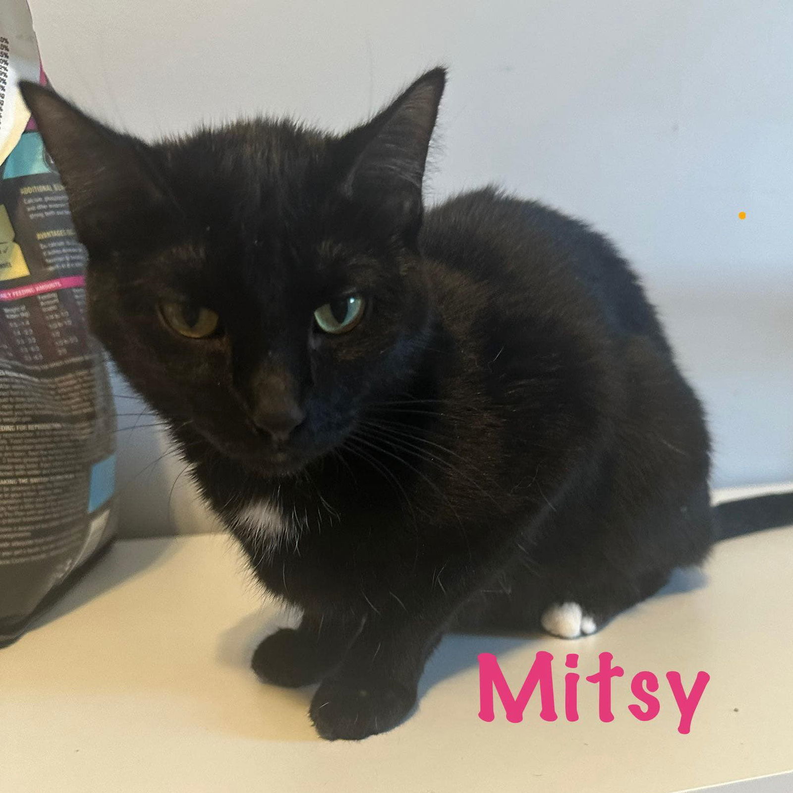 Mitsy