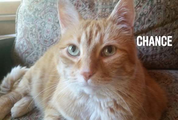 Chance