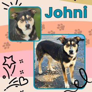 Johni