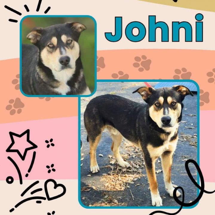 Johni 1