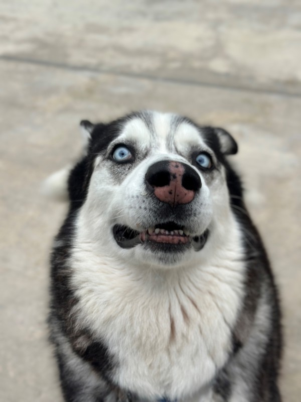 Noble