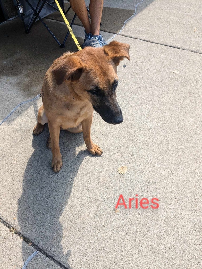 Aries