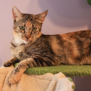 Get ready to meet mother of the year Olive Olive is an exceptional mama to her 7 babies and shes