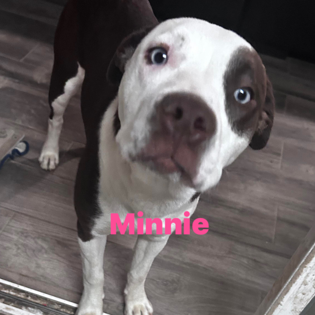 Minnie