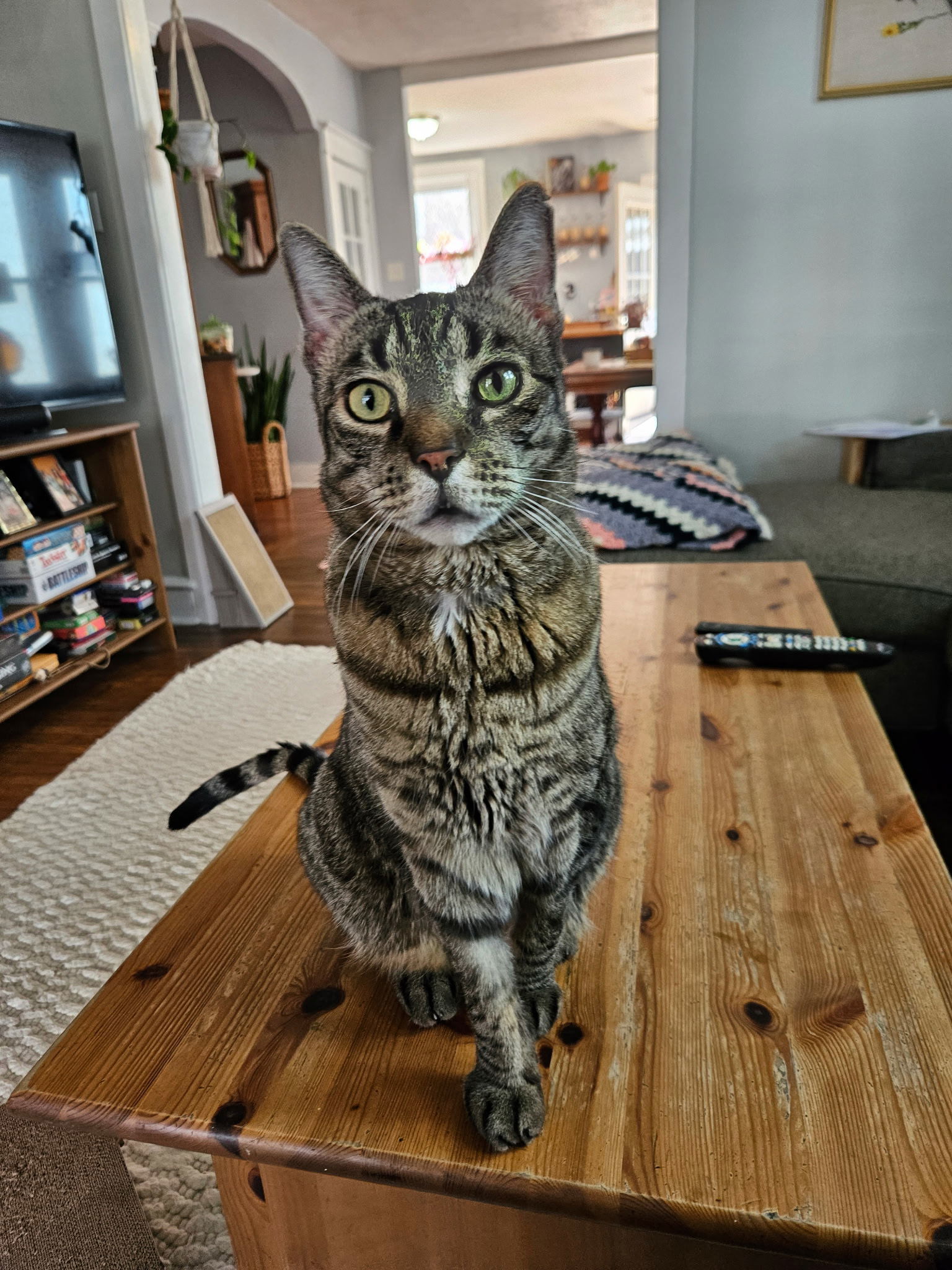 Prince