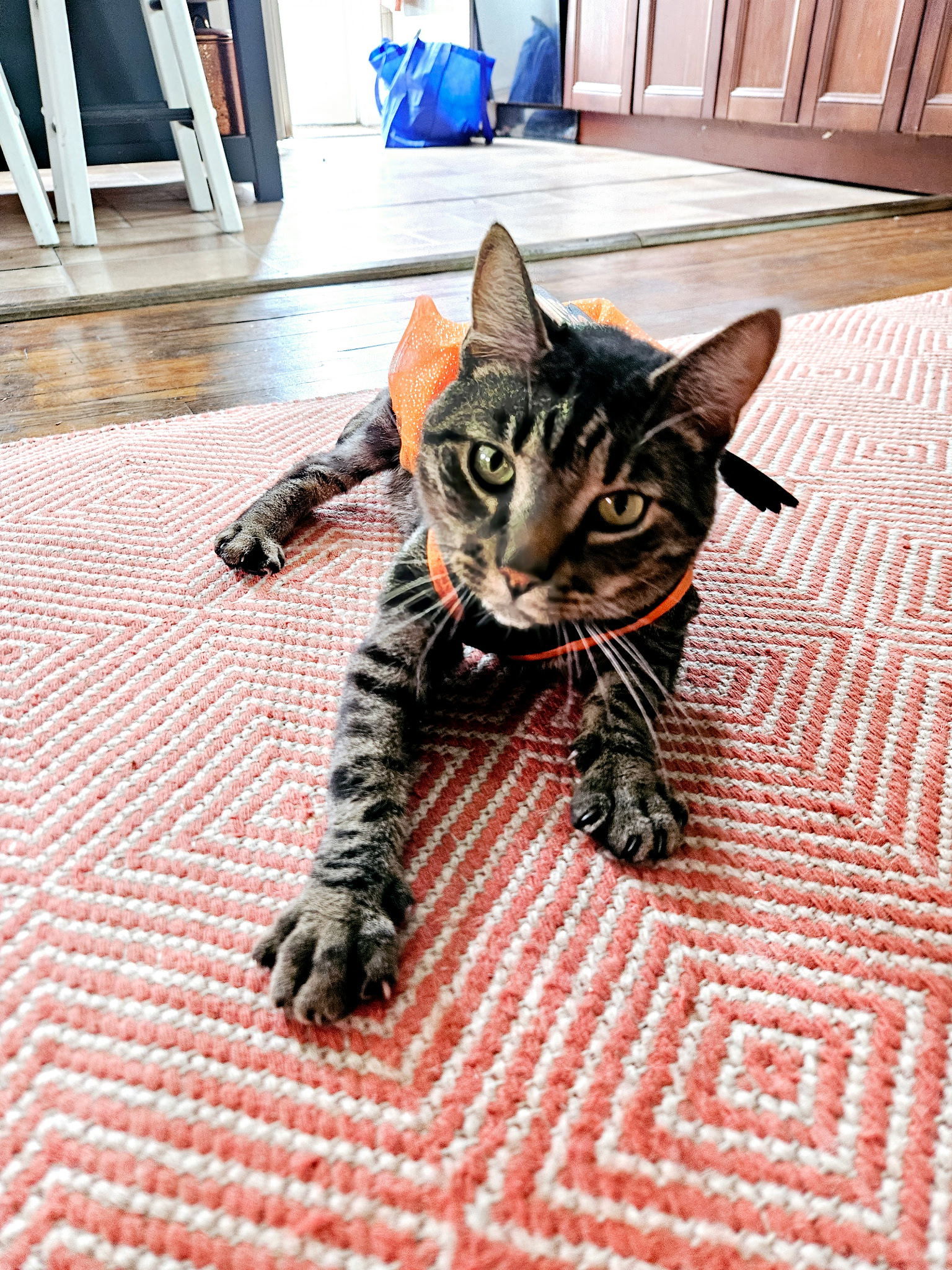 Sir Charles