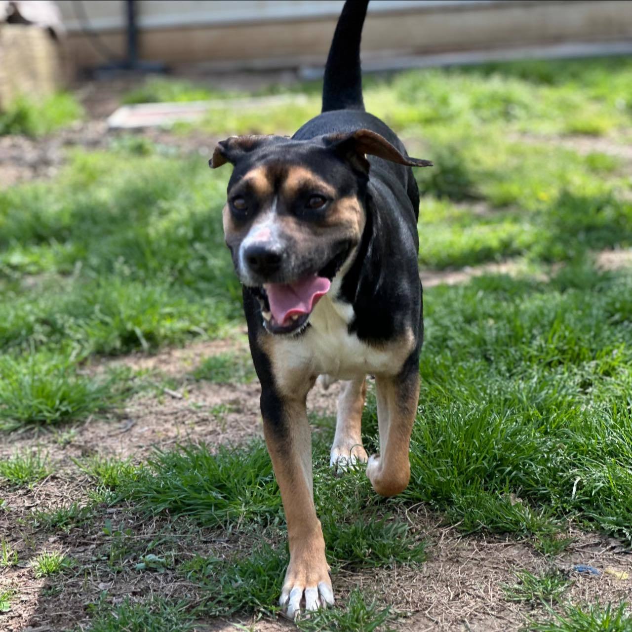 Molly Mae