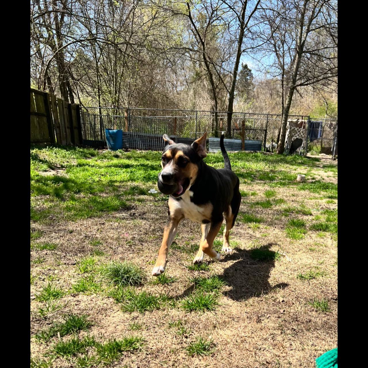 Molly Mae