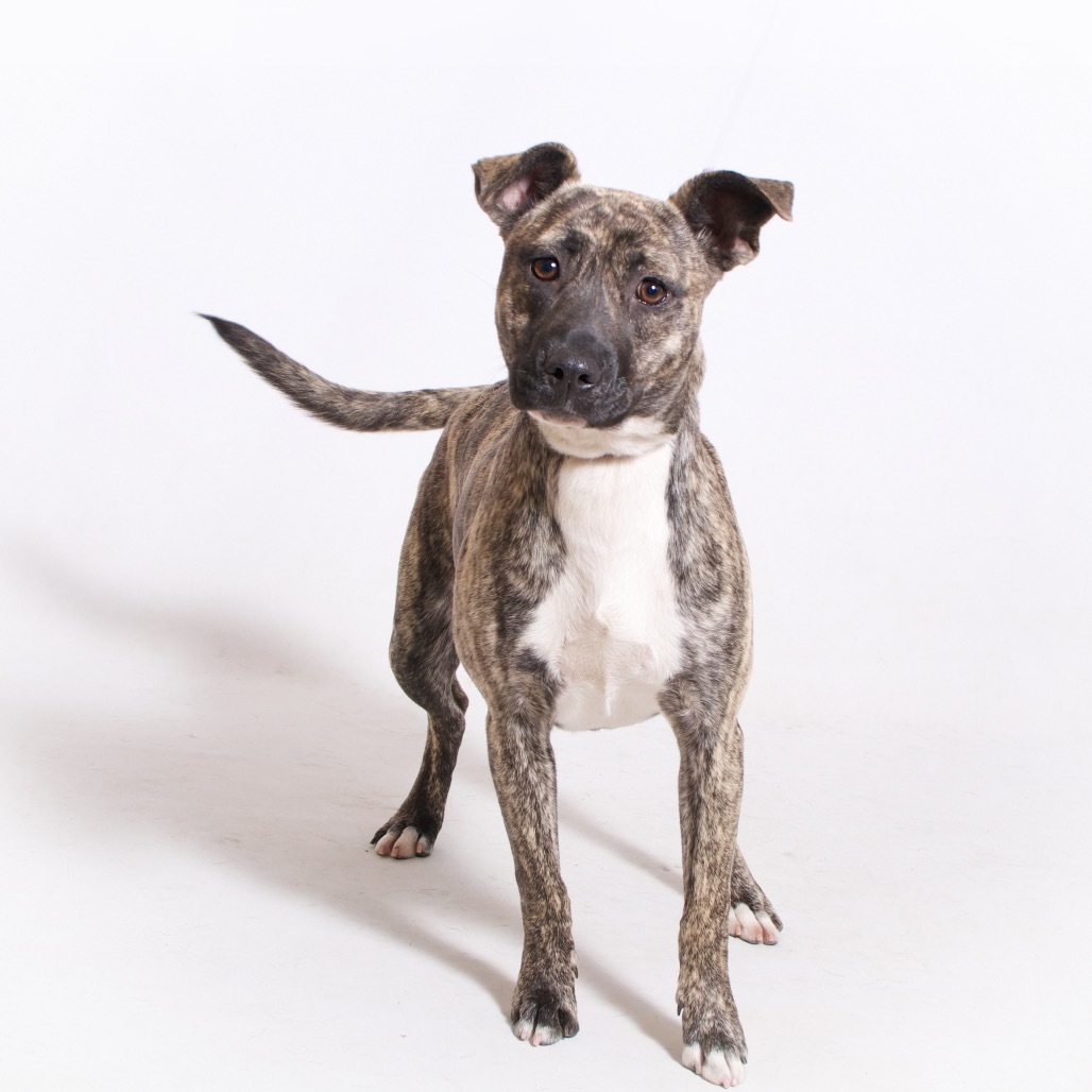 Lucille Photo