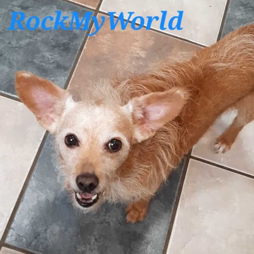 Rock My World