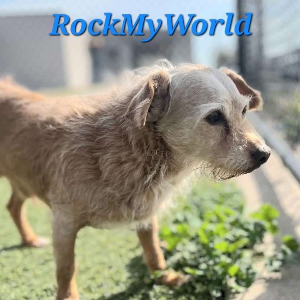 Rock My World