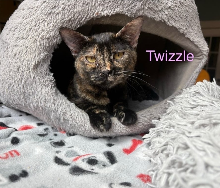 Twizzle