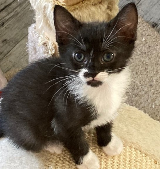 Olive (fka Peaches)