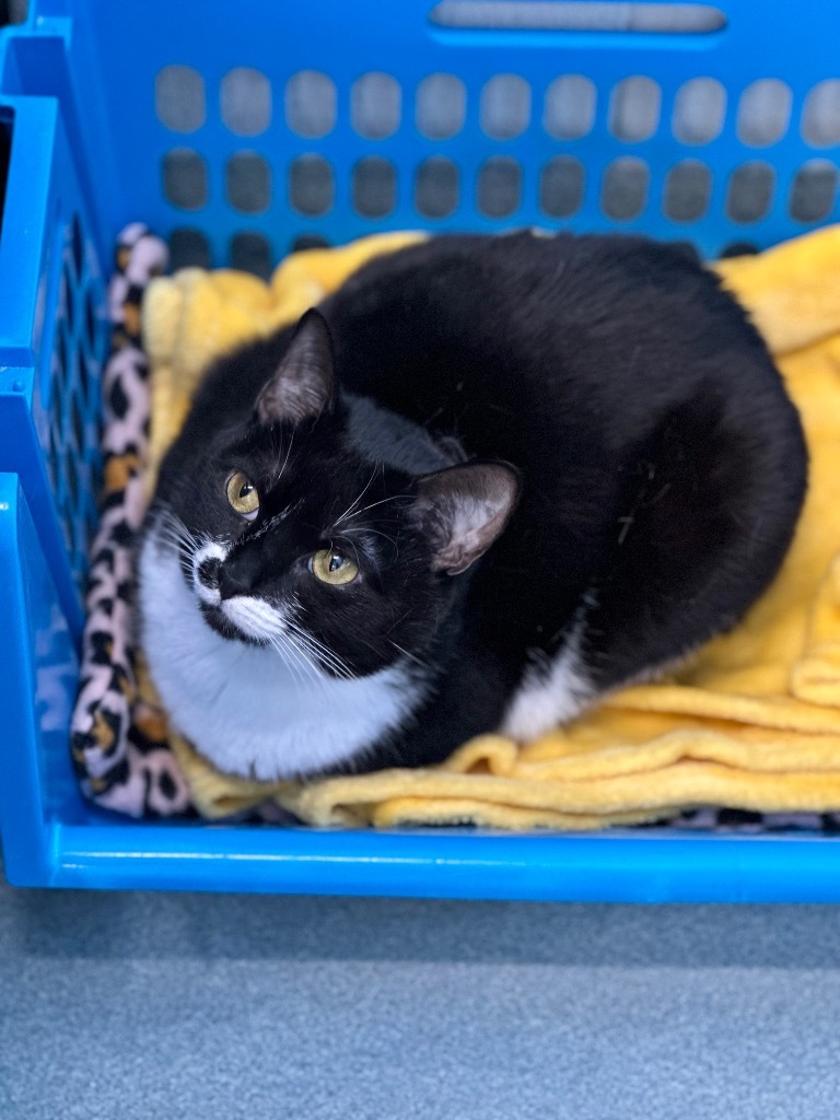 Olive (fka Peaches)