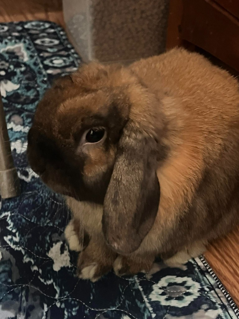 Henry
