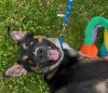 Maverick photo 2