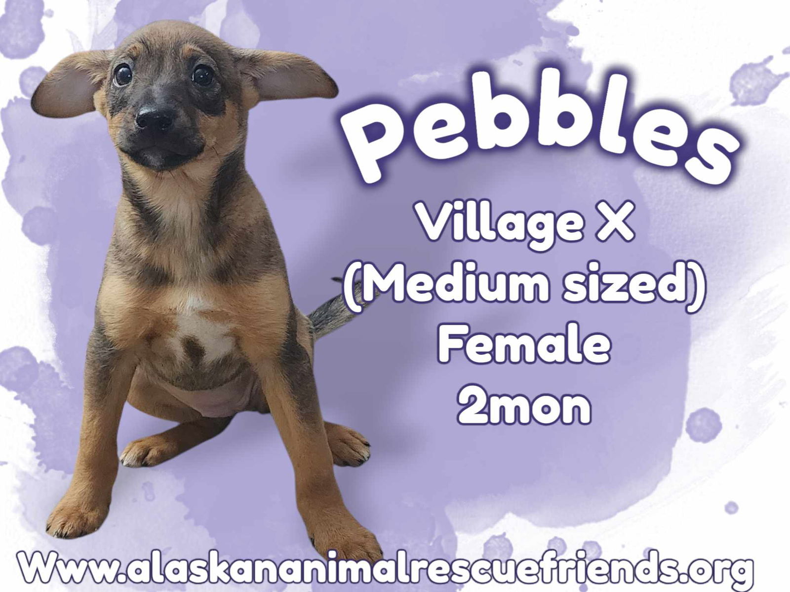 Pebbles