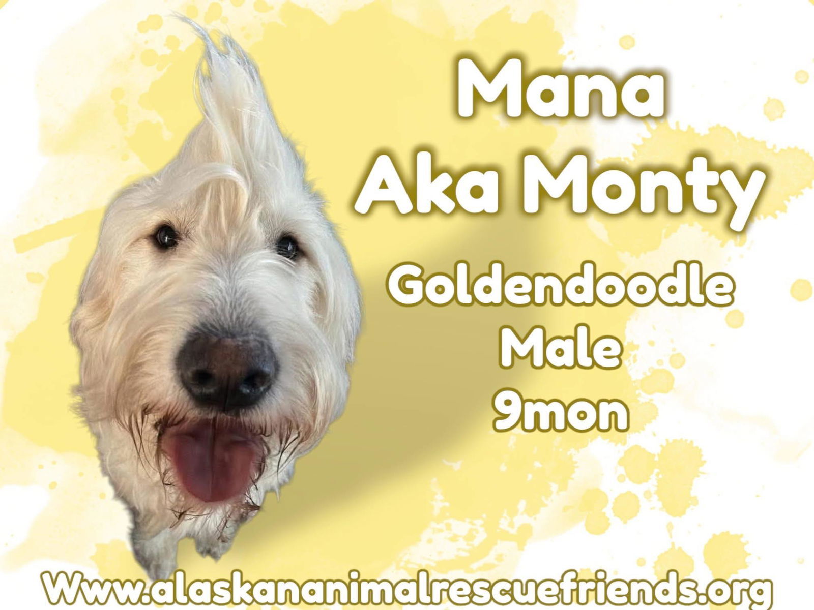 Monty