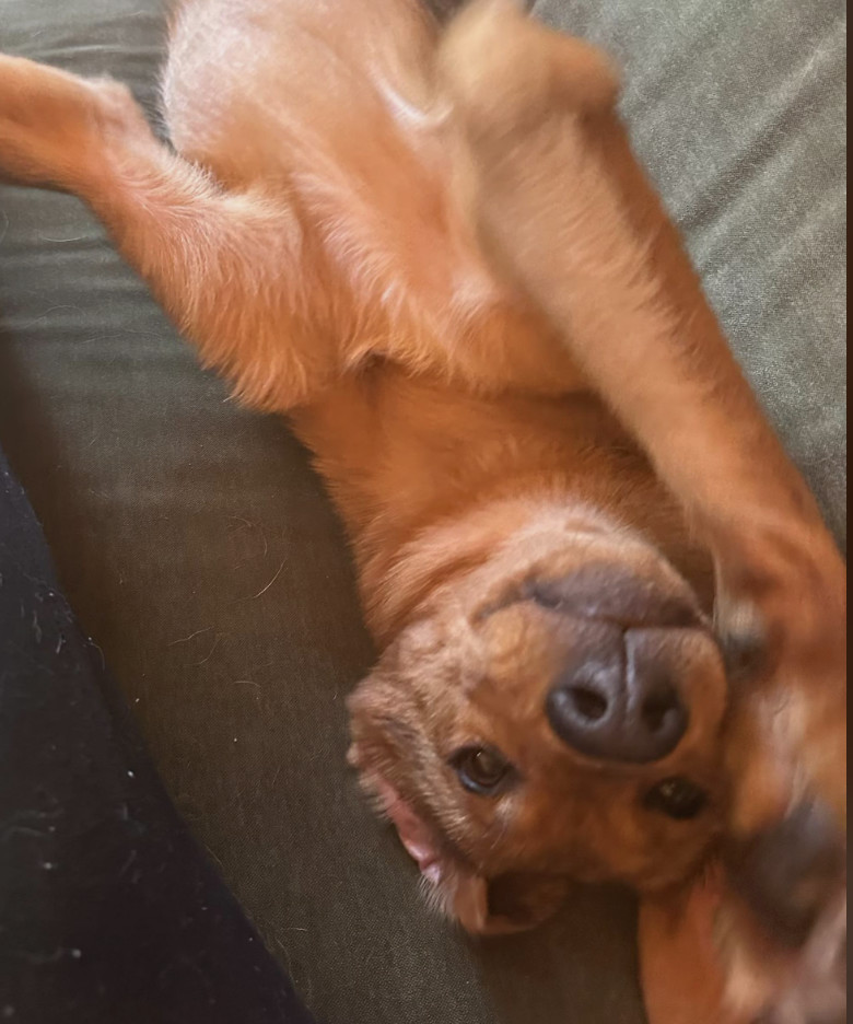 Mia