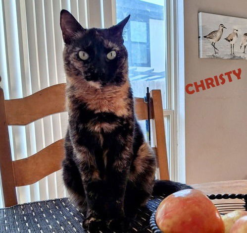 Christy #great-companion