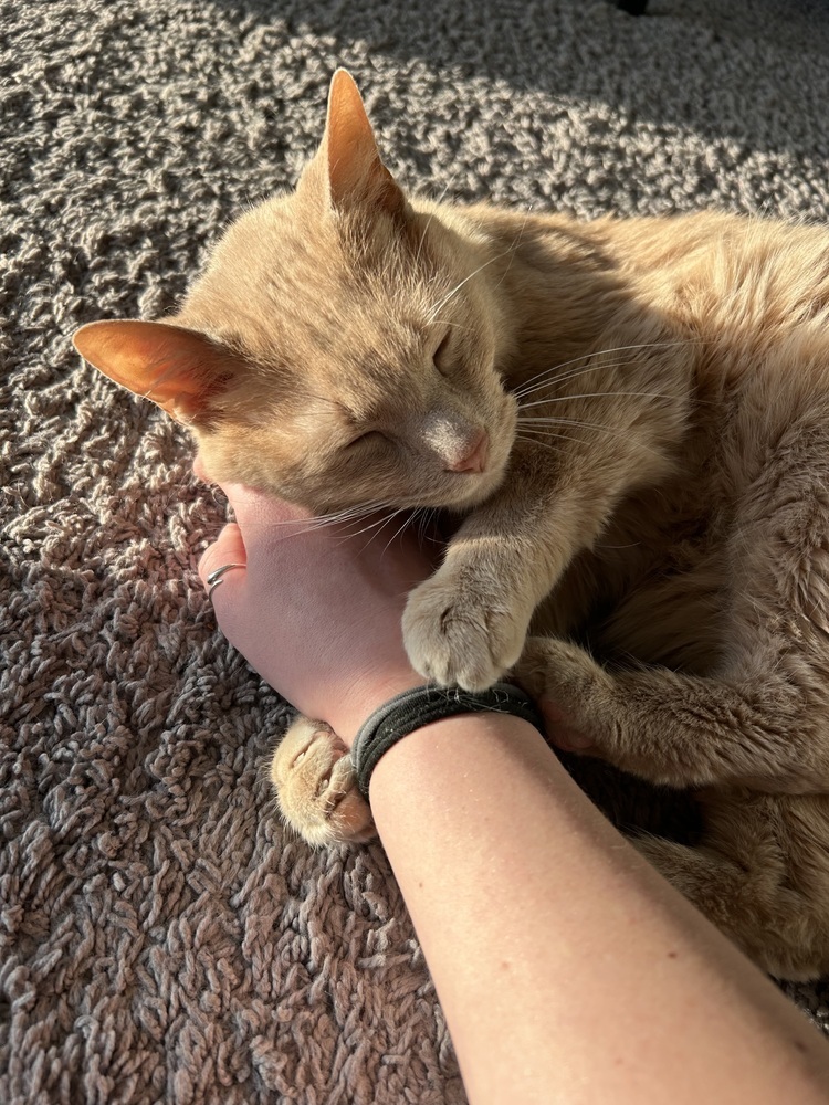 Charlie (25-040 C)
