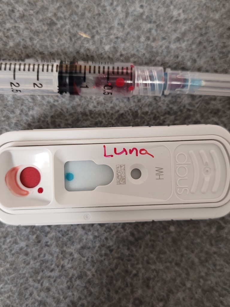 Luna Malone