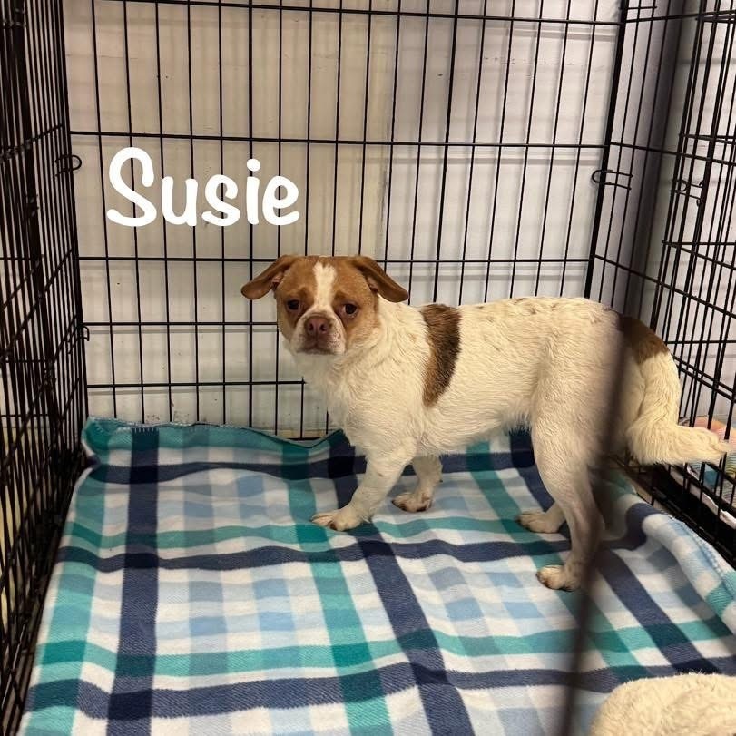 SUSIE