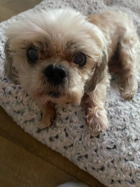 Darby