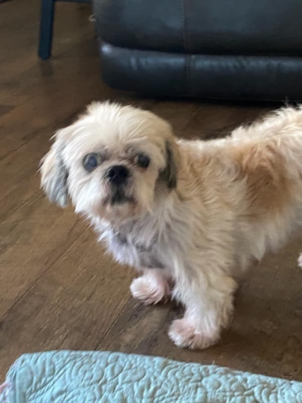 Darby