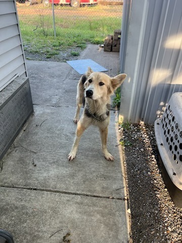 Tina