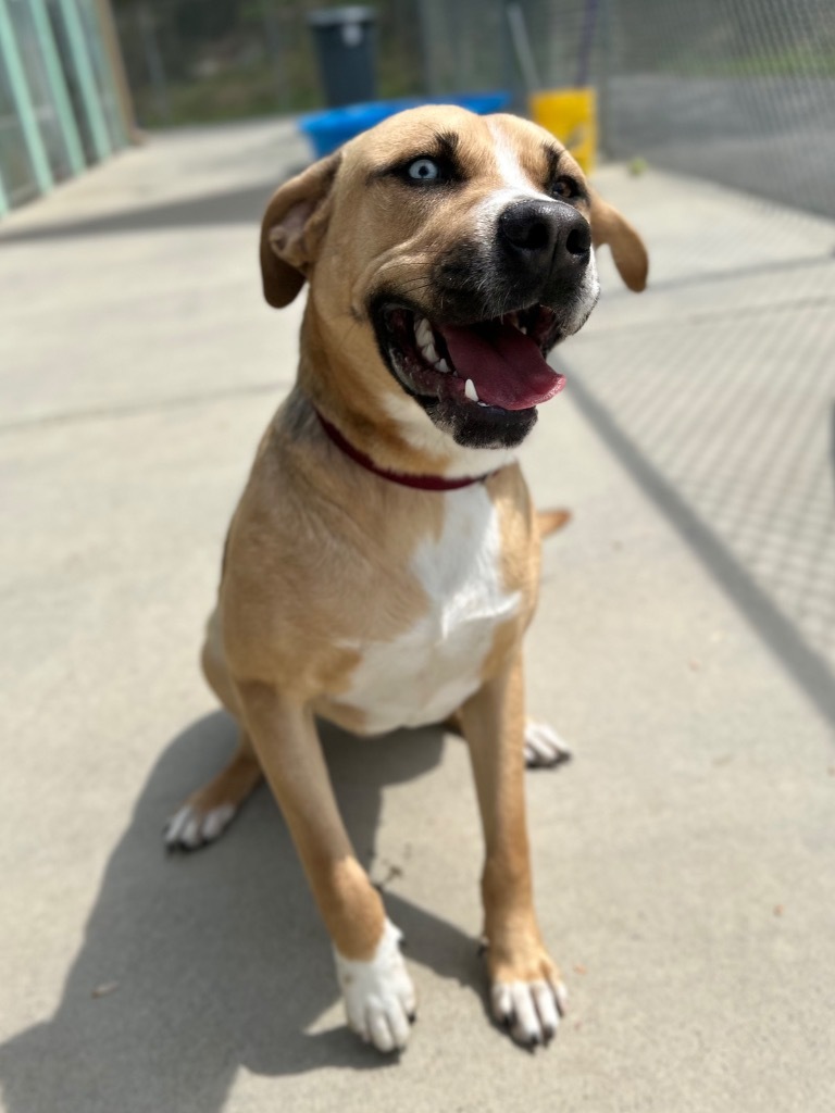 Max