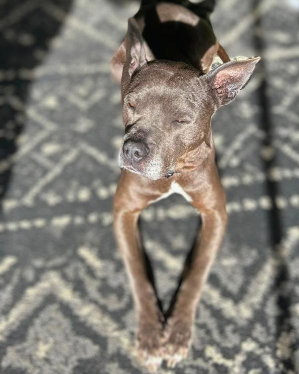 Freya