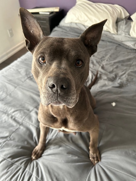 Freya