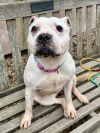 Darla