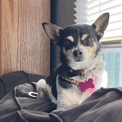 Lulu