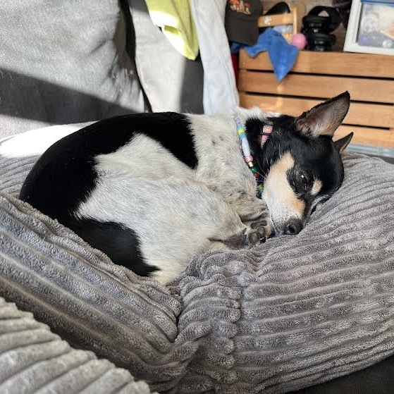 Lulu