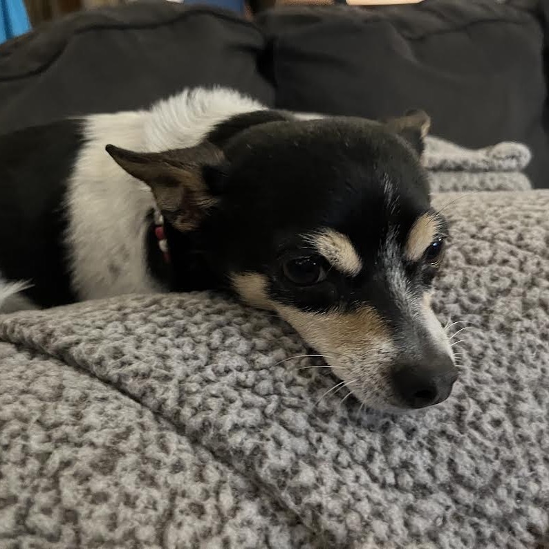 Lulu