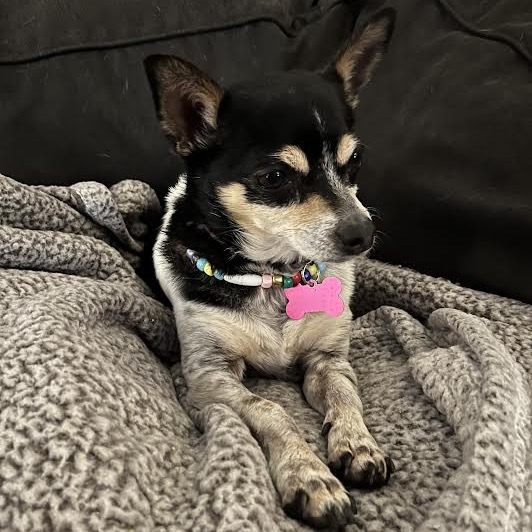Lulu