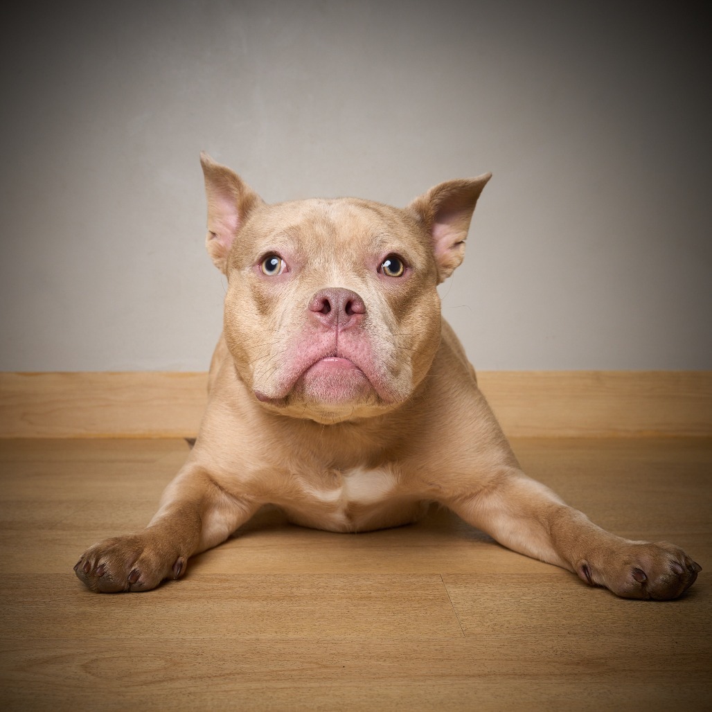 Tilly D64543