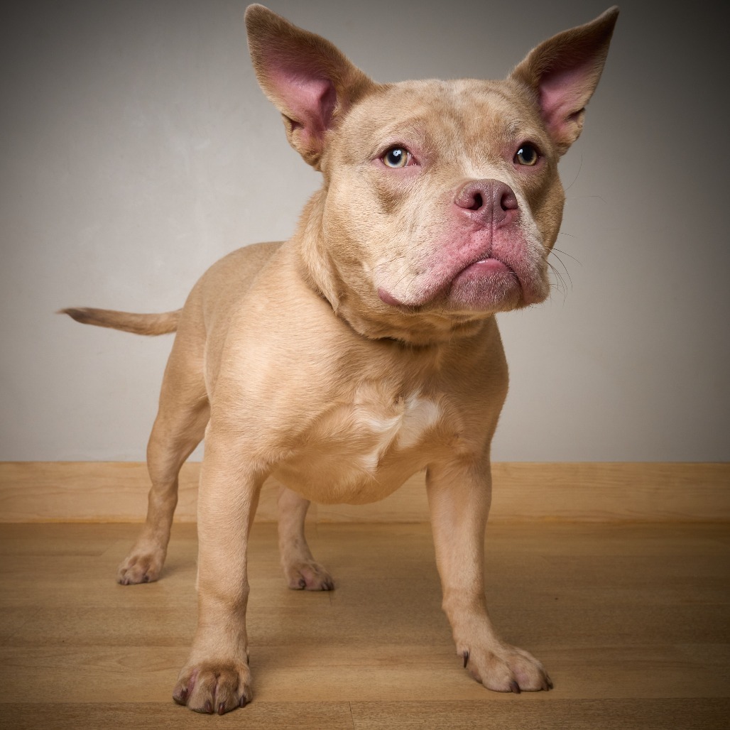 Tilly D64543