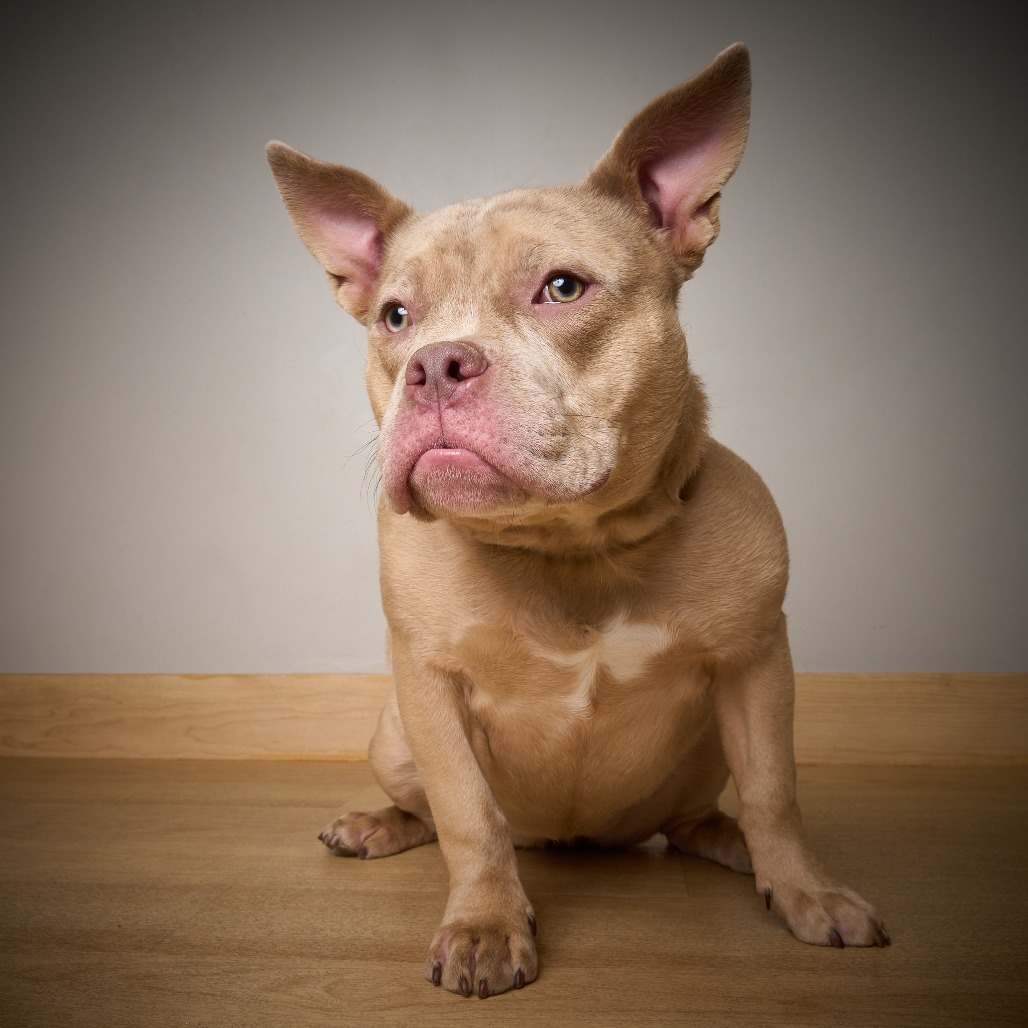 Tilly D64543