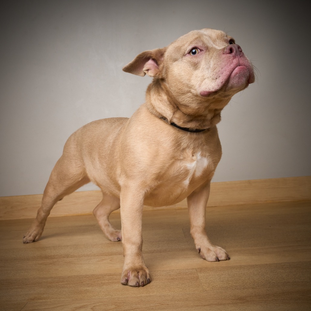 Tilly D64543